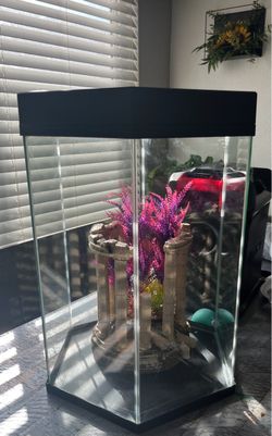 Fish tank