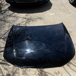 Audi A4 Black Hood Panel 