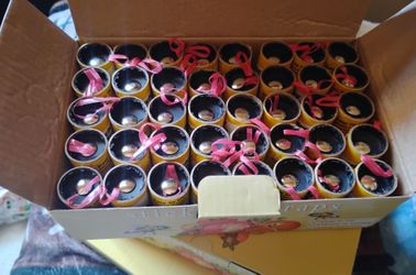 Fly Traps lot of 120