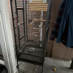 Bird Cage