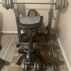 GOLD’S GYM PLATINUM WEIGHT SET  in good condition