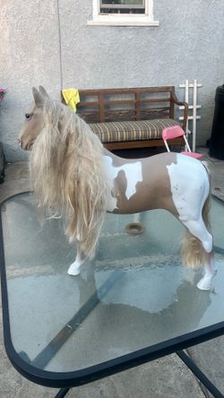 Caballo pequeño