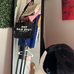 Tall Standing Mirror 