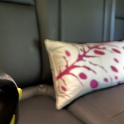 Hypoallergenic Lumbar Pillow 