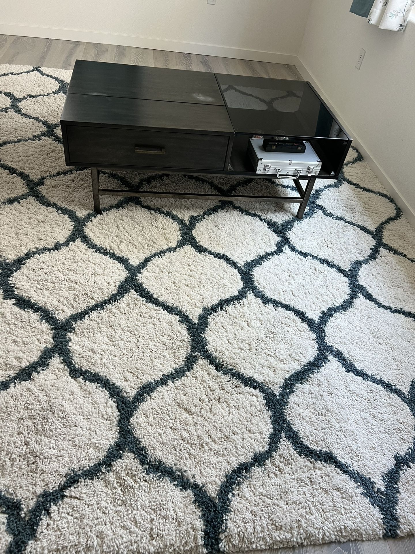 Plush Area Rug