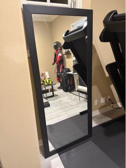 Wayfair wall mirror 70”x31”