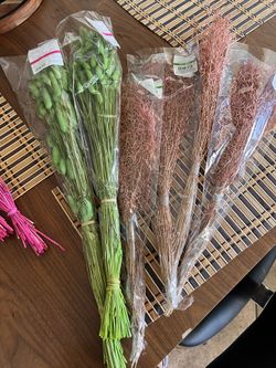 Different Type Decorative Naturals