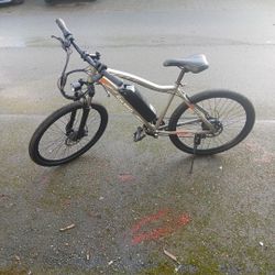 5TH WHEEL "DISCOVER" ELECTRIC BIKE 