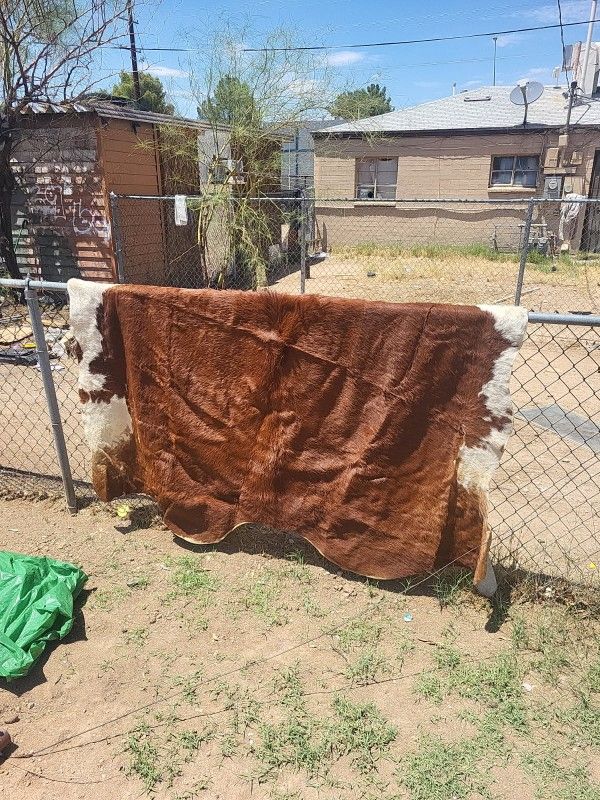 Cow Hide