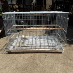 Bird Cage 