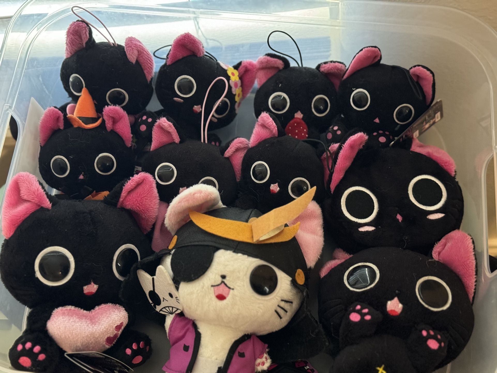 Nyanpire Collection Anime Plush Sanrio Neko
