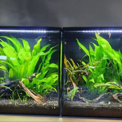 Fluval Fish Tanks