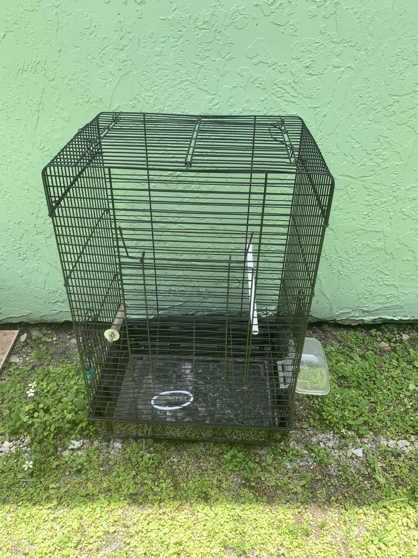 Bird Cage