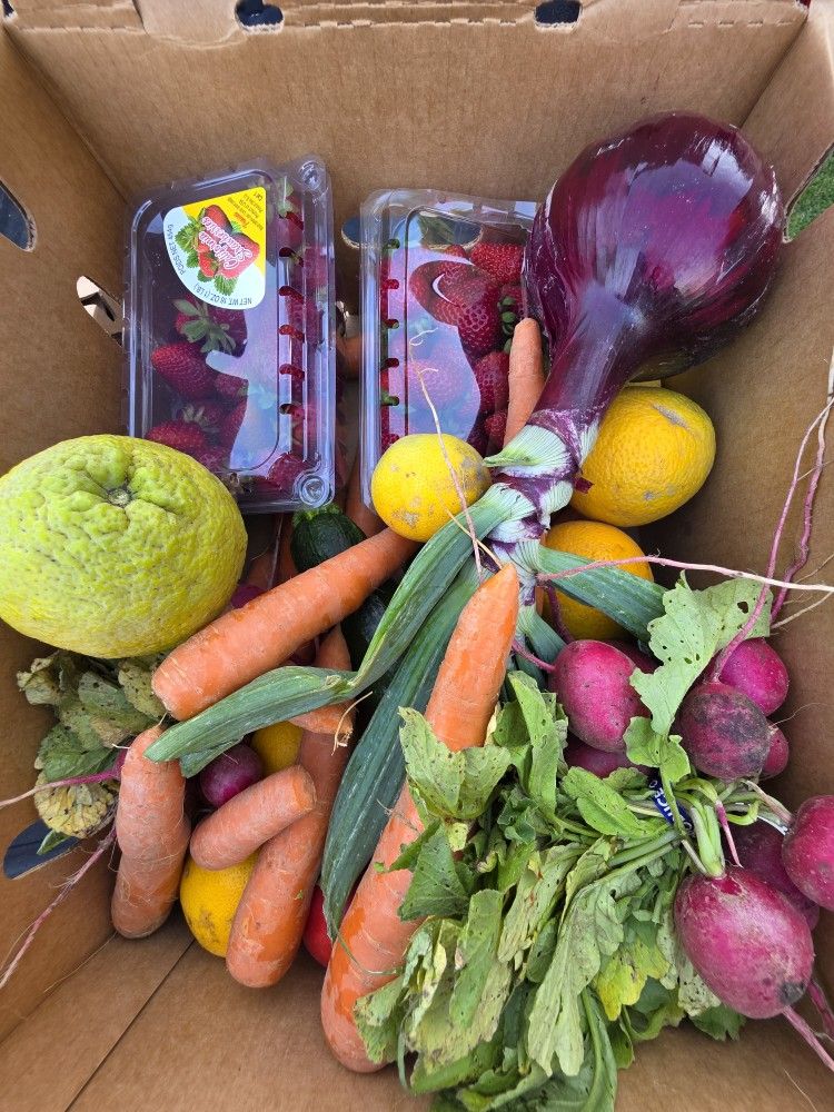 Free Produce Box