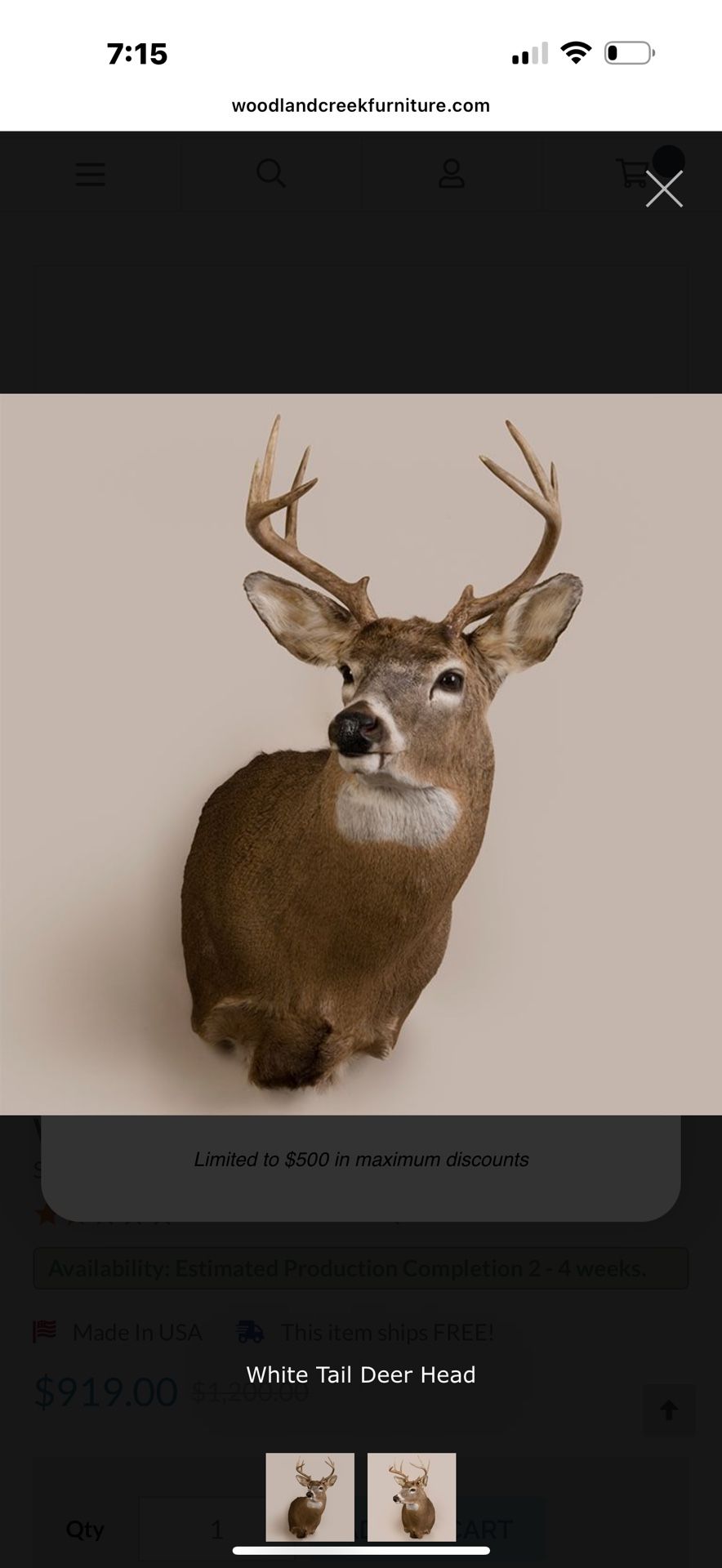 Deer Wall Mount 