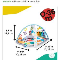 Baby Einstein Play Gym And Toys 