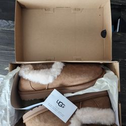 Brand New UGG Brown Boots