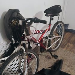 Mens 24 spd Mntn Bike w Lock