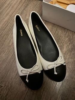 Quince Ballet Flats Black and White