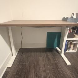 Standup Desk 48” x 28”