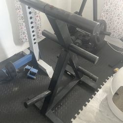 Olympic commercial weight rack weight tree