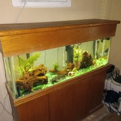 55 Gal Aquarium With Stand And Hood Cover 