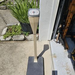 Column Weight Scale 