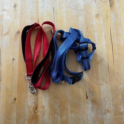 Leash and Reflective Harness Set size L