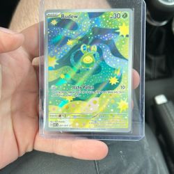 Ascended heroes Budew