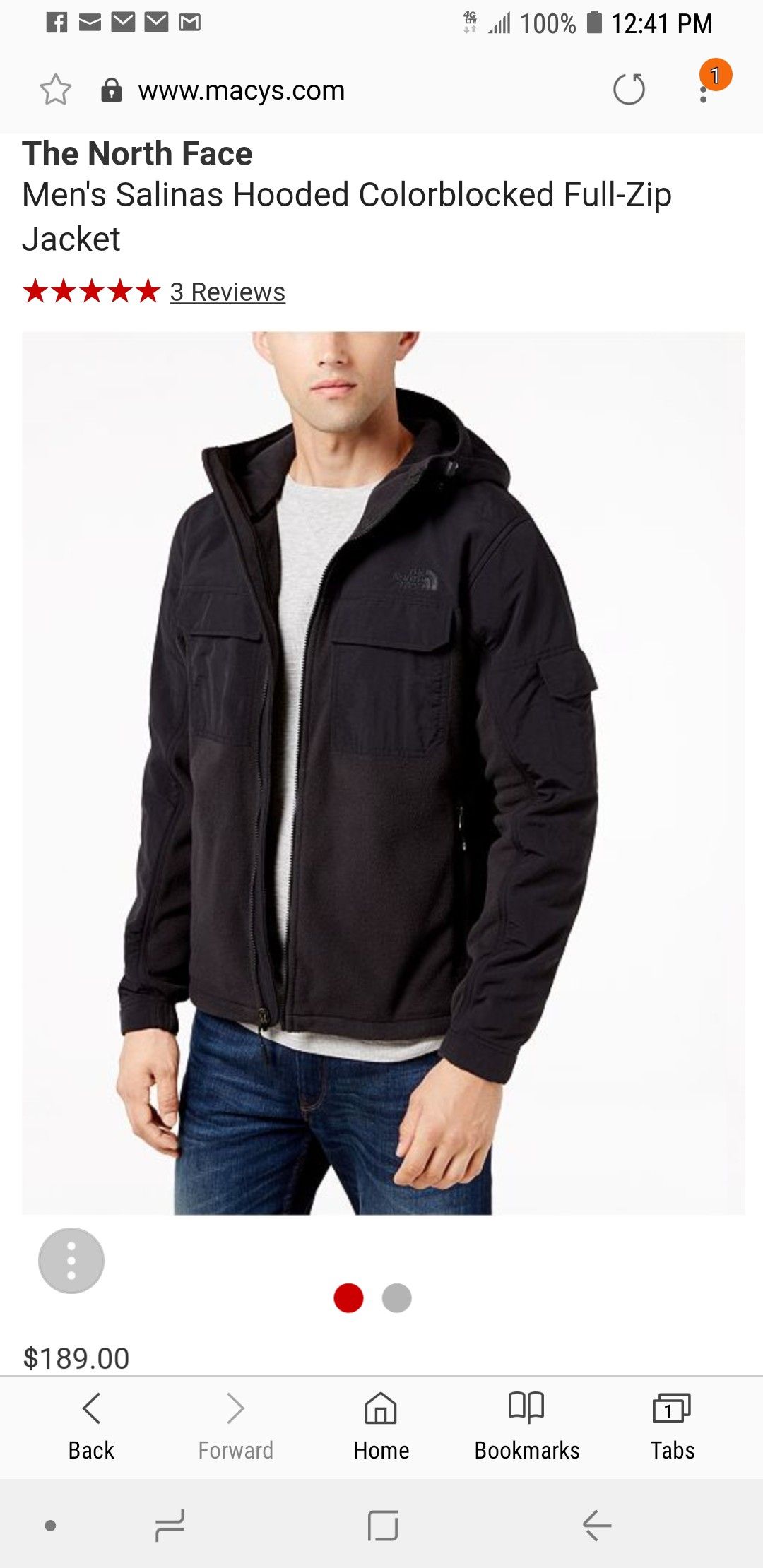 North face hotsell men's salinas jacket