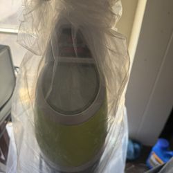 Bissel Floor Steamer 