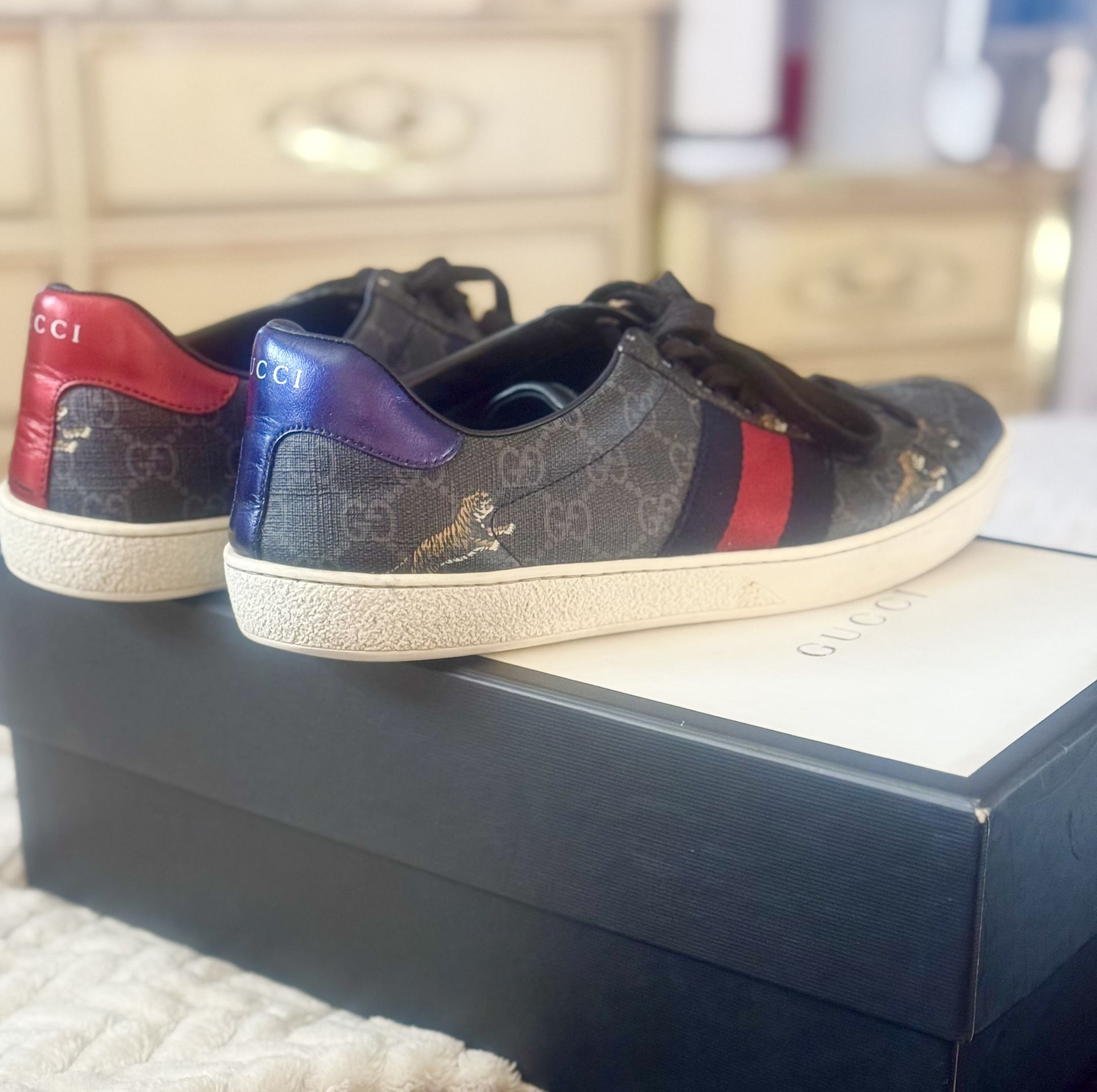 Gucci Men’s Shoes 