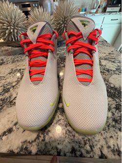 Size 11 - Lebron XXII Crown Jewel Basketball Shoes