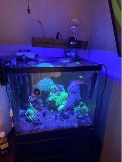 32 gallon