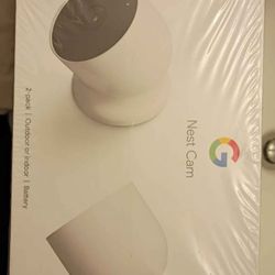 Google Nest cam 