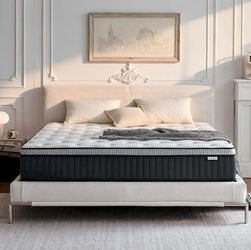 Queen Mattress