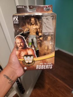 Jake The Snake Roberts Chase