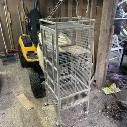 Bird Cage