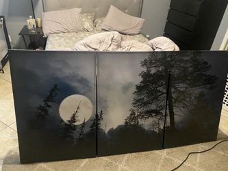 Canvas Prints