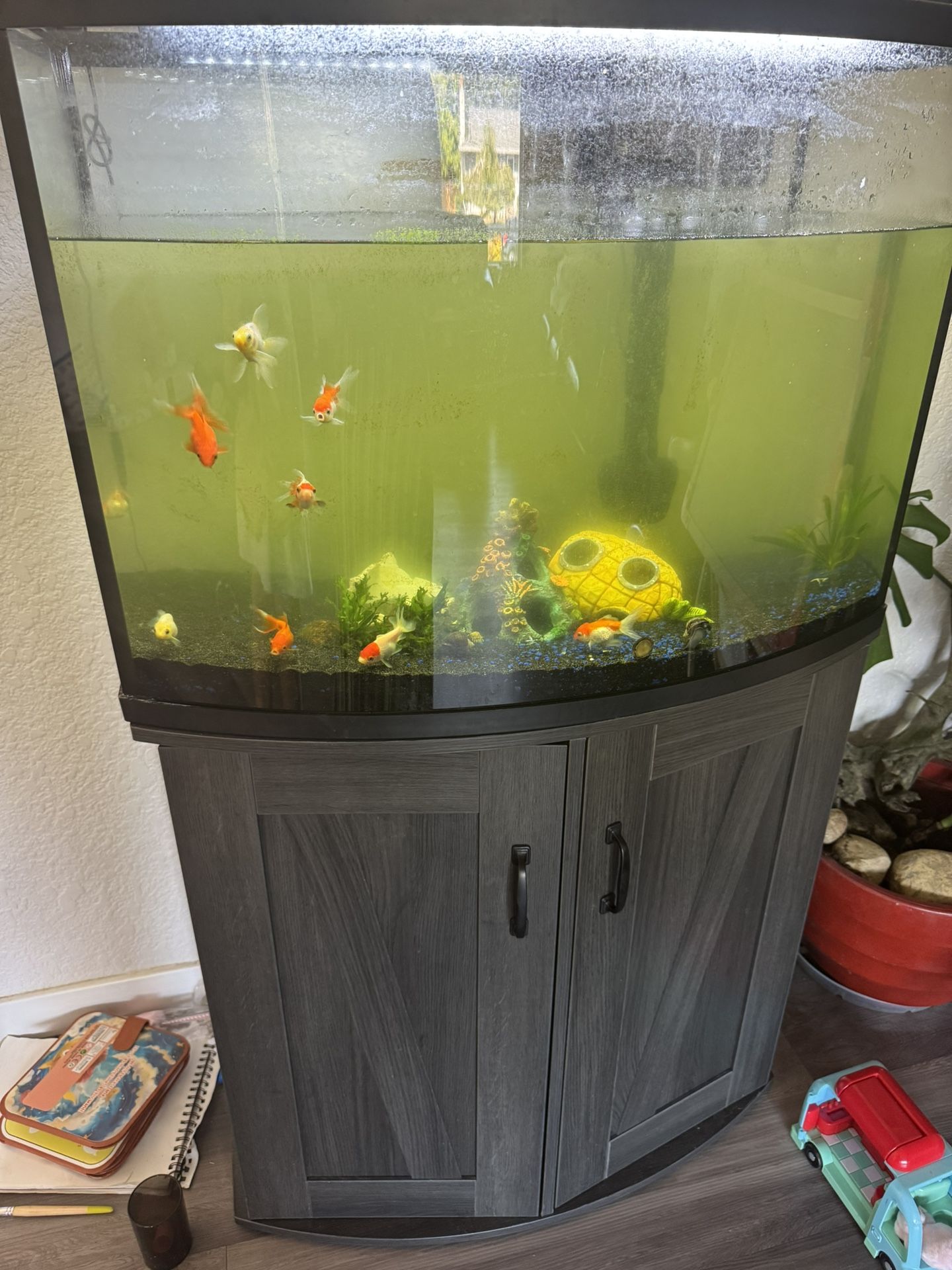 Fish Tank