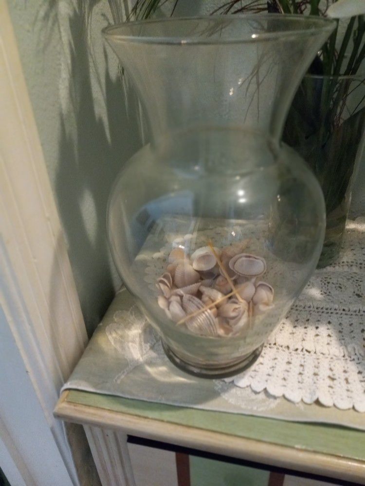 Glass Vase With Seashells  15 Obo