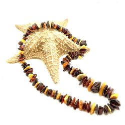 Genuine Amber Necklace 