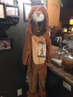 Lion kids costume