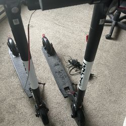 Gotrax Scooter 