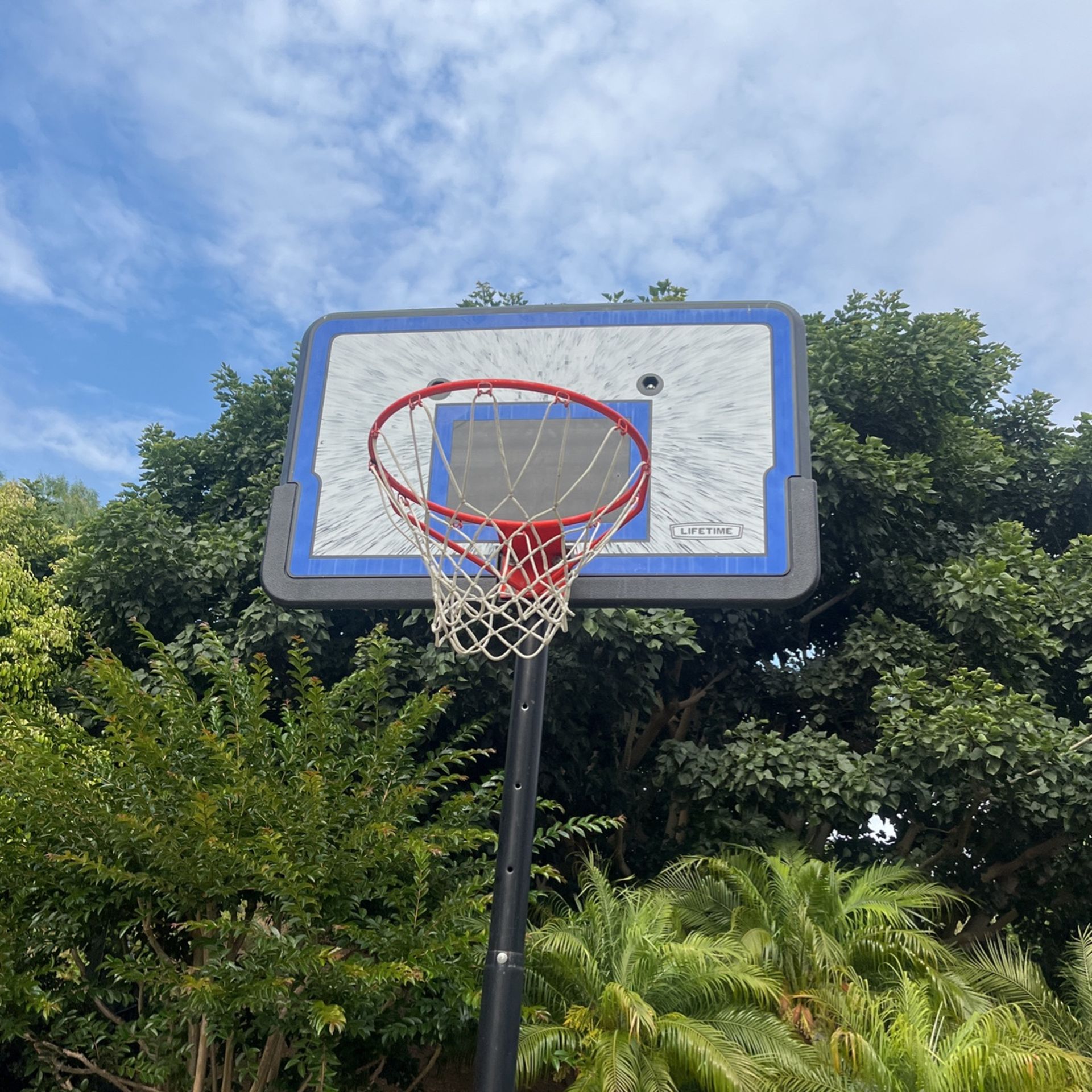 Basketball Hoop