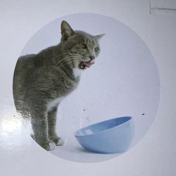 New. Ceramic Pet Dish W/non Slip Mat. Pink