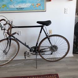 Fuji Roadbike  