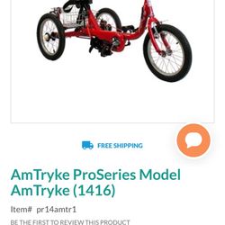 AmTryke Bike For Special Disabilities