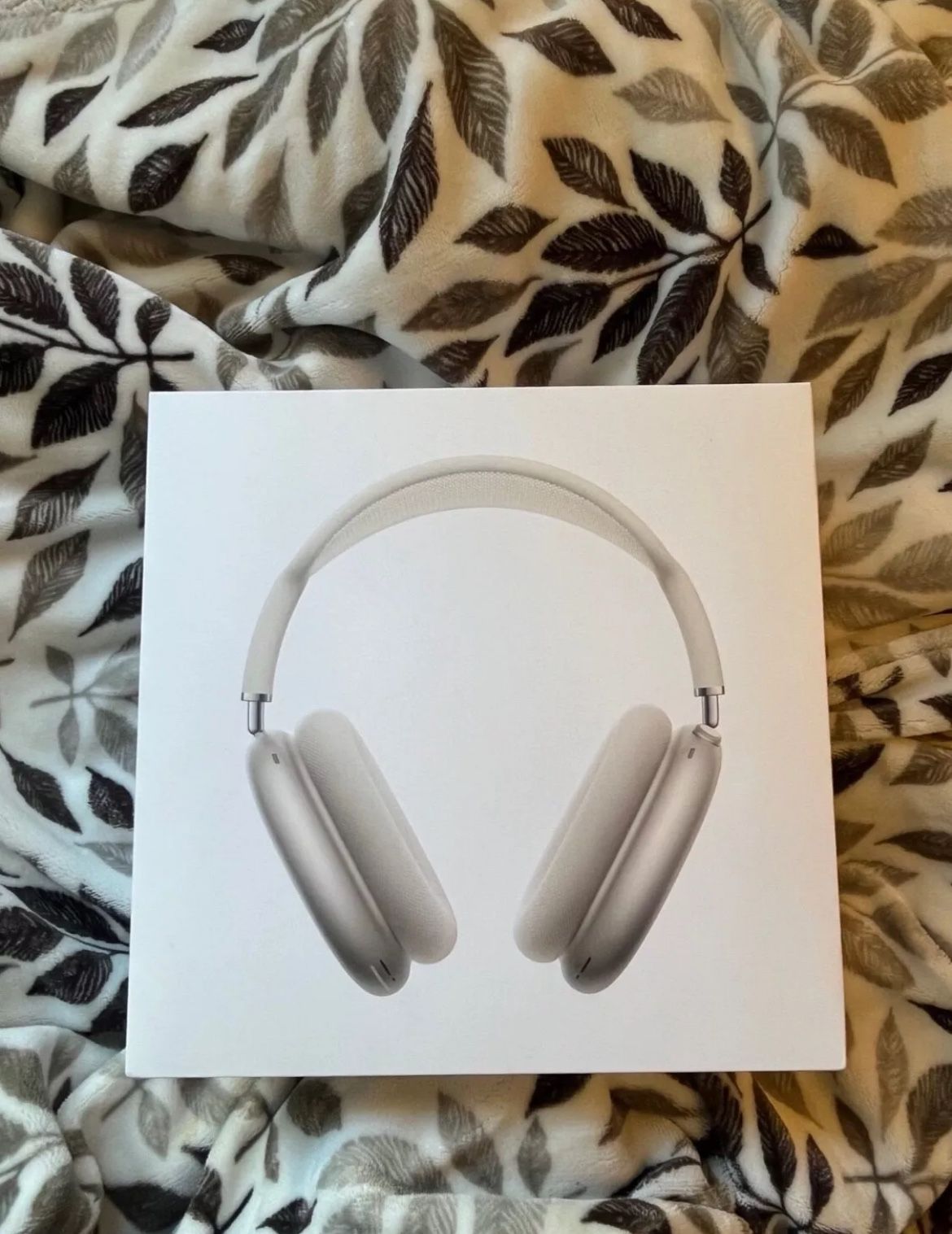 Airpods Maxes