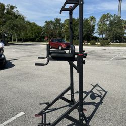 Pull Up / Dip Bar (Free!)